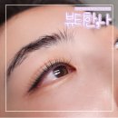포근네스트빌 | 마산속눈썹 뷰티한 나 속눈썹펌