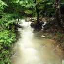 태안사계곡 이미지