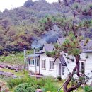 버팀목농원 이미지