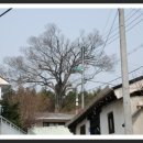 관어공원(호국사) 이미지