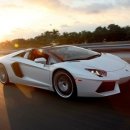 선진포리스트(가동) 이미지