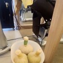 힐링아로마태라피 네이버블로그