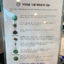 제주스강남고속 | [평창] 거커리숲 - 건강한 삼잎국화베이글과 마더덕주스가 있는 평창 대형 카페 후기