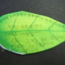 서울염동초등학교 이미지