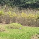 웅포주유소 이미지