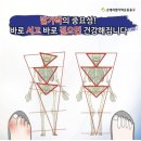 신체발란스운동연구소 이미지
