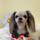 살롱드 베베 이미지