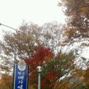 정든오리집