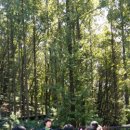 홍덕문선생추모비 이미지