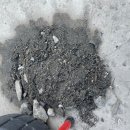 영광ic주유소 이미지