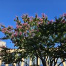 신흥한증막 이미지