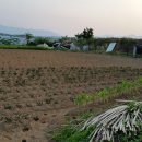 토지연구소 공인중개사사무소 이미지