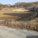 강화전원공인중개사사무소 이미지