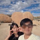 점보주유소 | 조슈아트리 국립공원 완벽 가이드｜입장료·날씨·소요시간 총정리