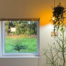 스테이 무림 이미지