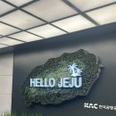 스타빌 | 제주 스타빌 겨울 후기 (+택시이용, 겨울 이용 꿀팁!)