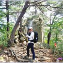 동산-2 Daum카페