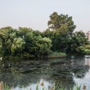 만석공원 이미지