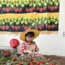 흙놀이 미술시간 이미지