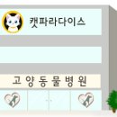 캣파라다이스 일산점 이미지