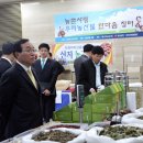 대한적십자사 마산무료급식소 이미지