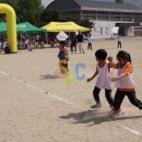 이천초등학교유치원 | 초등학교 운동회 행사, 명랑운동회 프로그램 후기