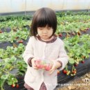 민준농장 이미지