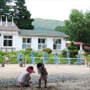 횡성 별빛마을 캠핑장 이미지