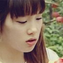 놀러와5 Daum카페