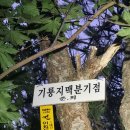 기룡마을회관 이미지