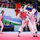 한국태권도 이미지