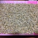 라플로레스타 이미지