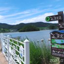 생교경로당 Daum카페