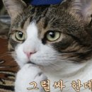 경상북도교육정보센터 이미지