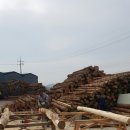 베리베리팜 이미지