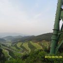 초봉농장 이미지