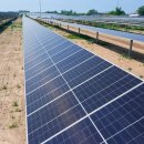 삼성태양광발전소 이미지