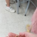 지평중학교 이미지