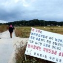 월호평길 이미지