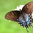 즐거운노래 이미지