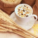 건강한생활 이미지