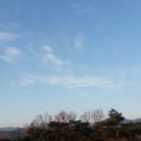 해뜨는아침농장 이미지