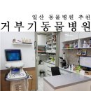 거부기동물병원