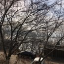 예스부동산중개주식회사 이미지