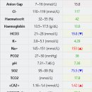 권앤정 동물외과병원 이미지