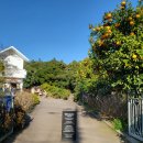 호근농장 이미지