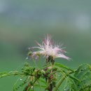 송 행정사사무소 이미지