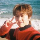 보로