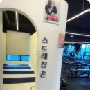 조짐pt 이미지