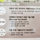럭스래쉬 네이버블로그